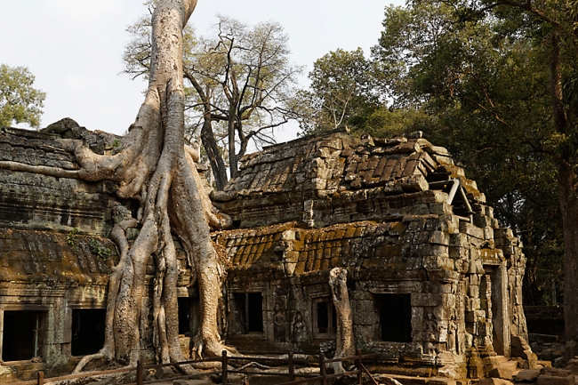 Ta Phrom et environs-060